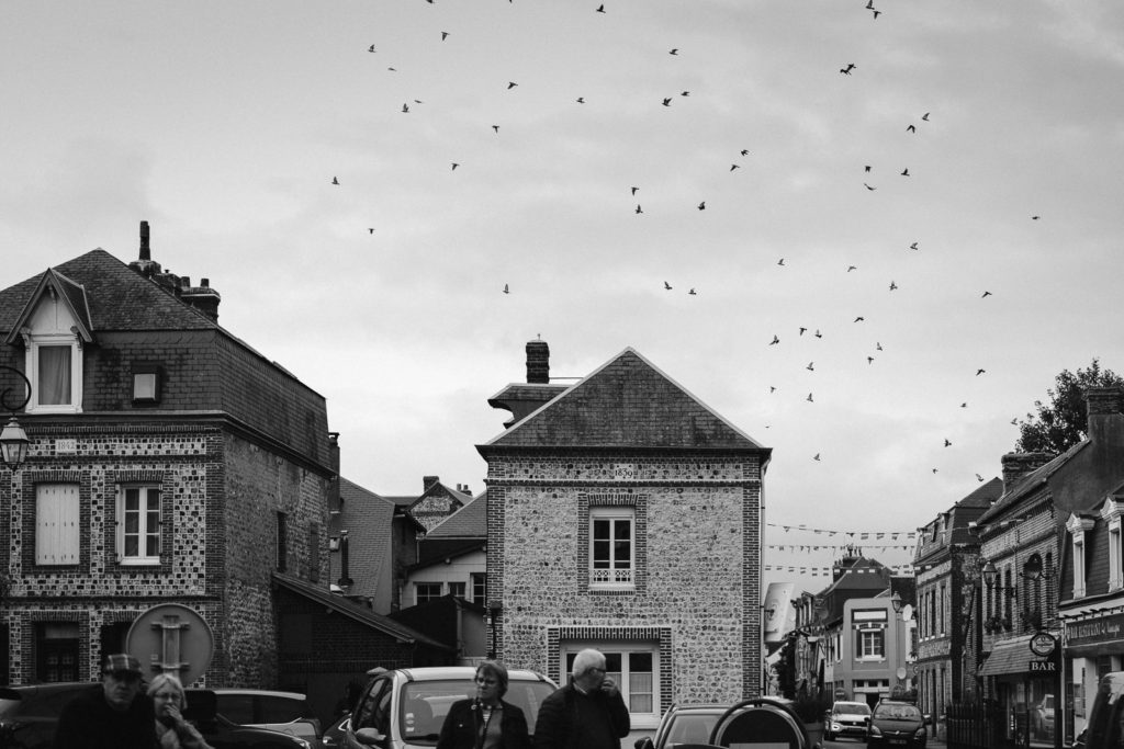 des oiseaux volent au dessus du village d'Yport en Normandie